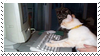 Cat using a computer
